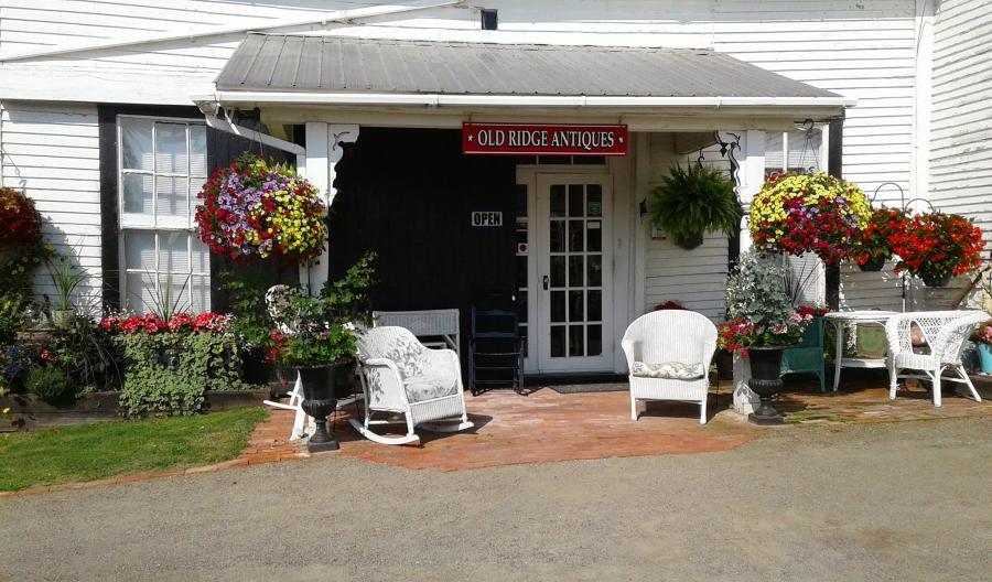 The Hunt for Hidden Treasures in NB Antiques, vintage, thrifting! / 